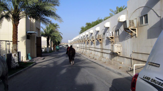 Air conditioned stables