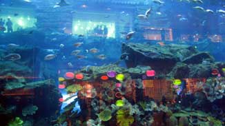 Dubai Aquarium