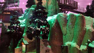 Emirates Mall Ski