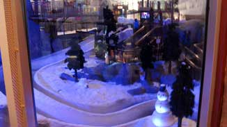 Emirates Mall Ski