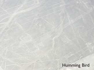 Nazca Lines - The Humming Bird